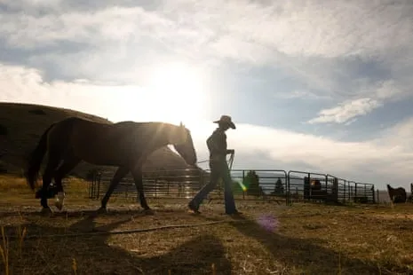 Discover the American Cowgirls Transforming Modern Farm Life