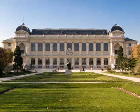 Priceless Gold Pieces Snatched in Audacious Heist at France's Natural History Museum